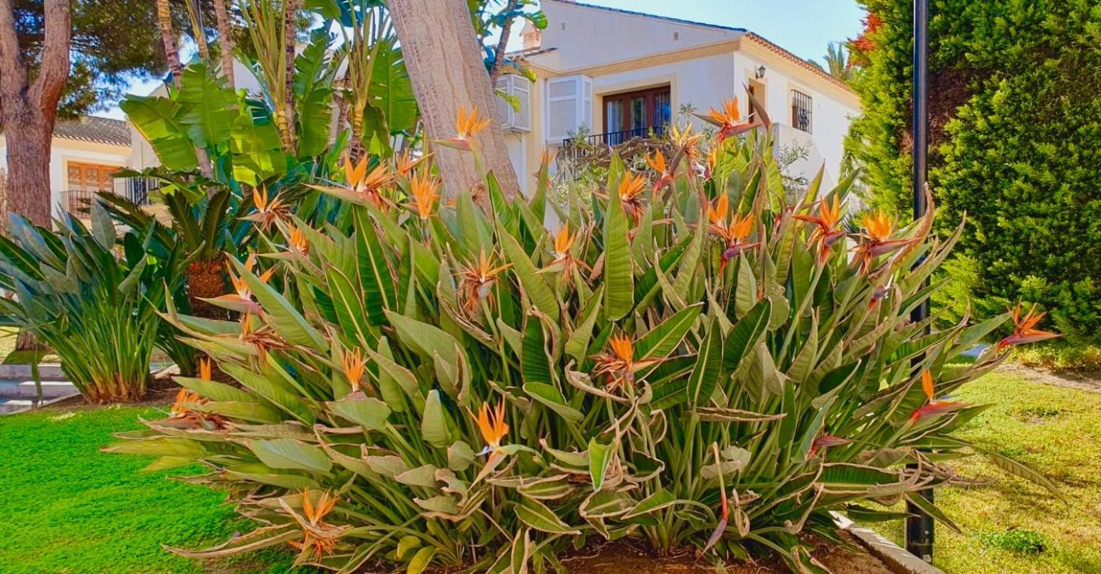 Casa Veranera Vera Costa Playas de Vera Exteriör bild