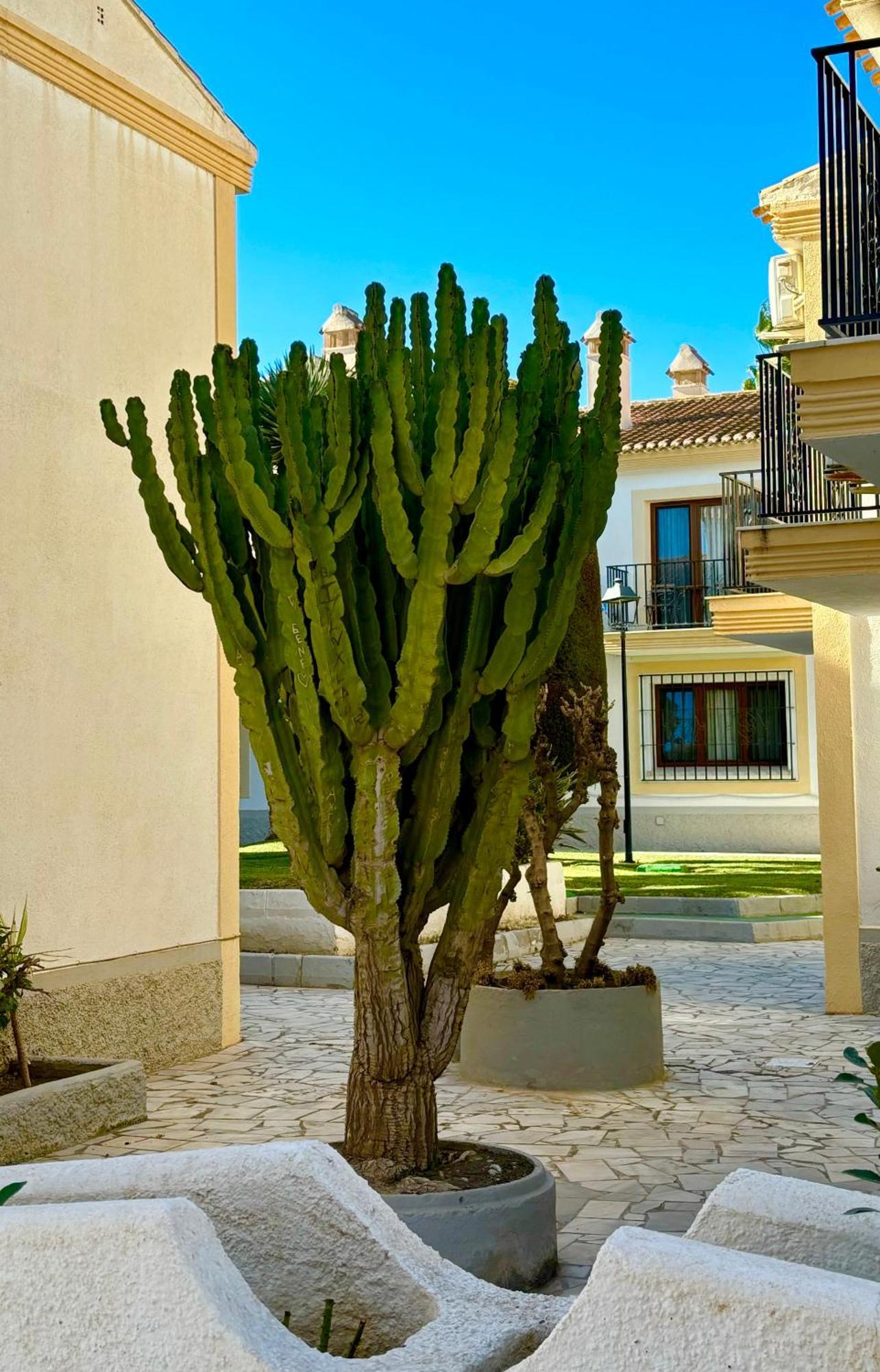 Casa Veranera Vera Costa Playas de Vera Exteriör bild